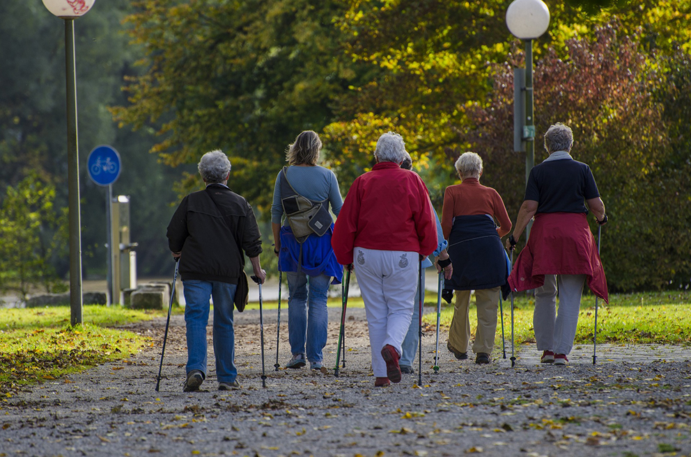 Sex äldre personer går stavgång på en grusväg i ett soligt höstlandskap.